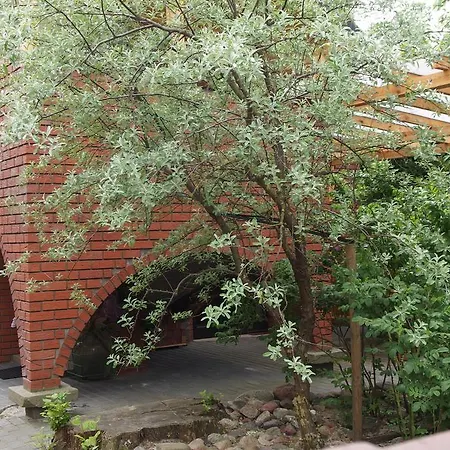 Patio I *