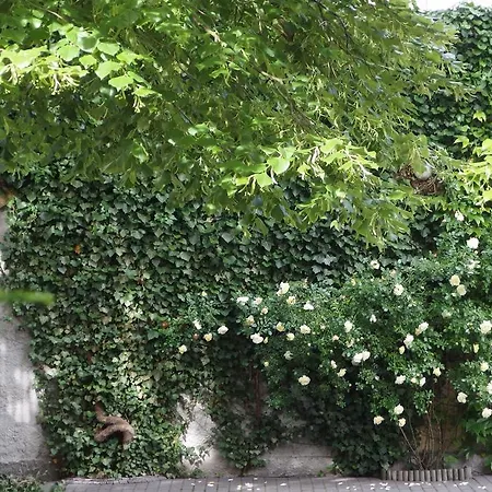 Apartment Patio I