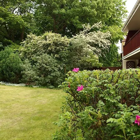 Patio I Нехоже