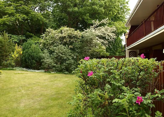 Patio I Нехоже